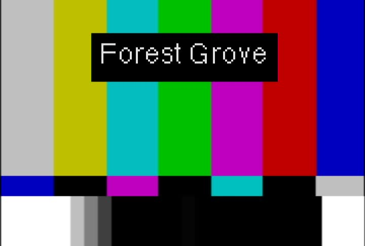Thumbnail image for March 23, 2021 Forest Grove Historic Landmarks Meeting
