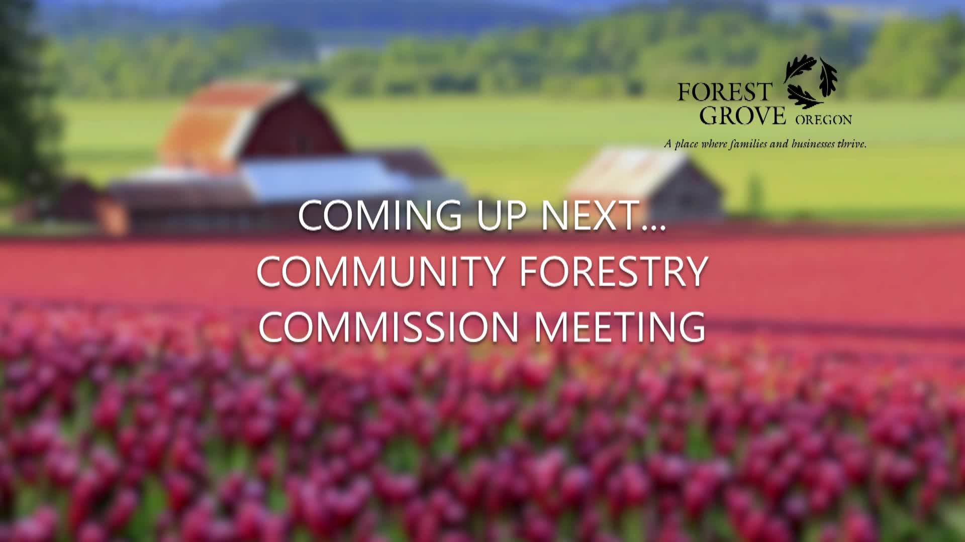 Thumbnail image for April, 2021 Forest Grove Forestry Commission