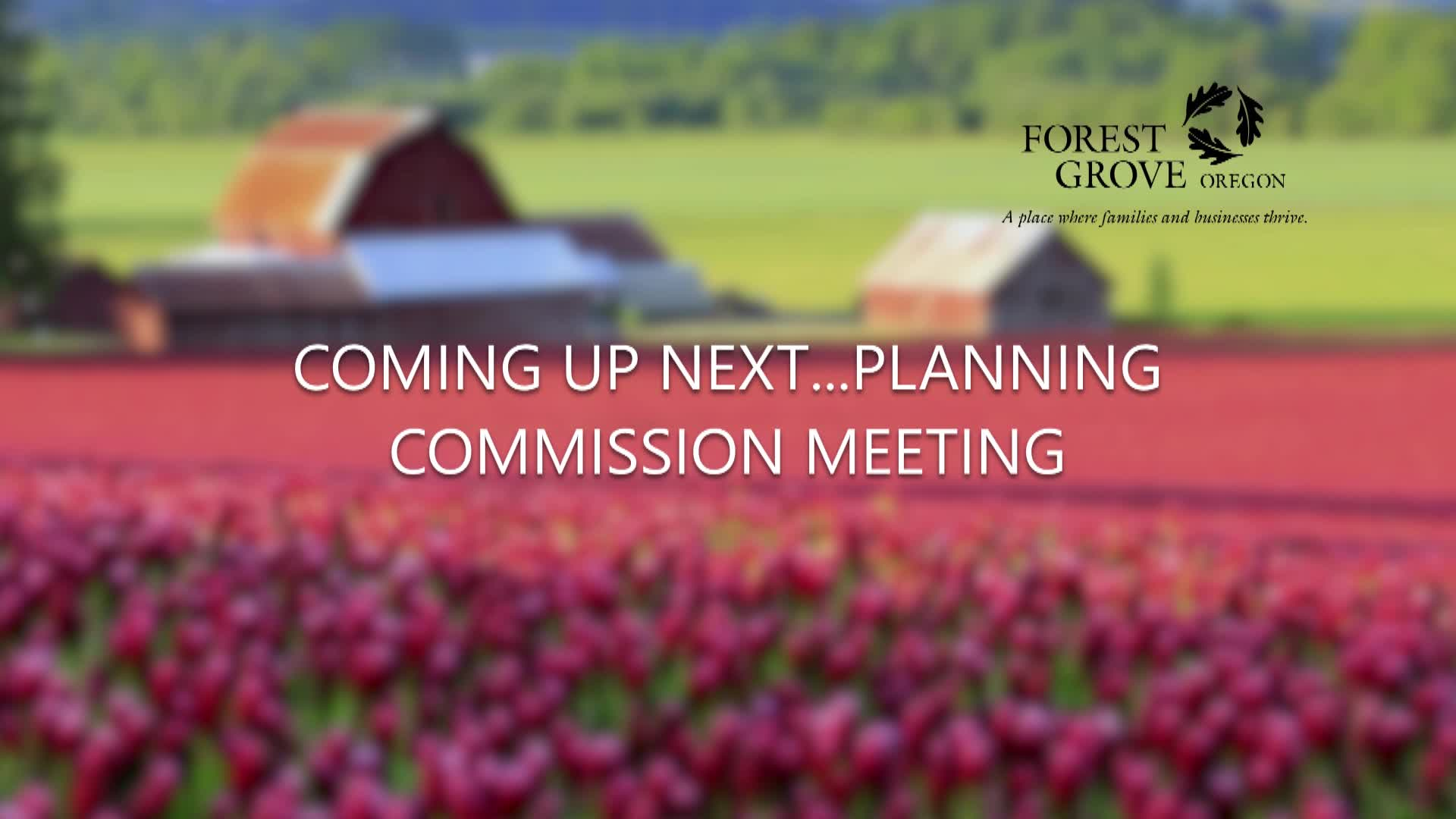 Thumbnail image for  Forest Grove Planning Commission May 17, 2021