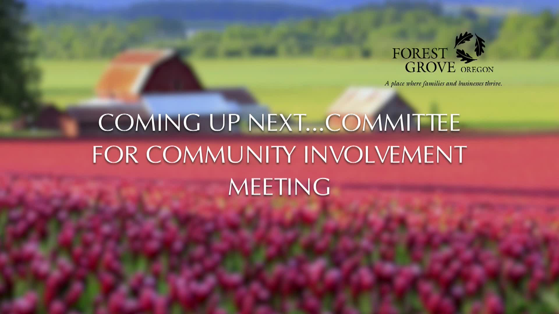 Thumbnail image for June 1, 2021 Forest Grove Committee for Citizen Involvement