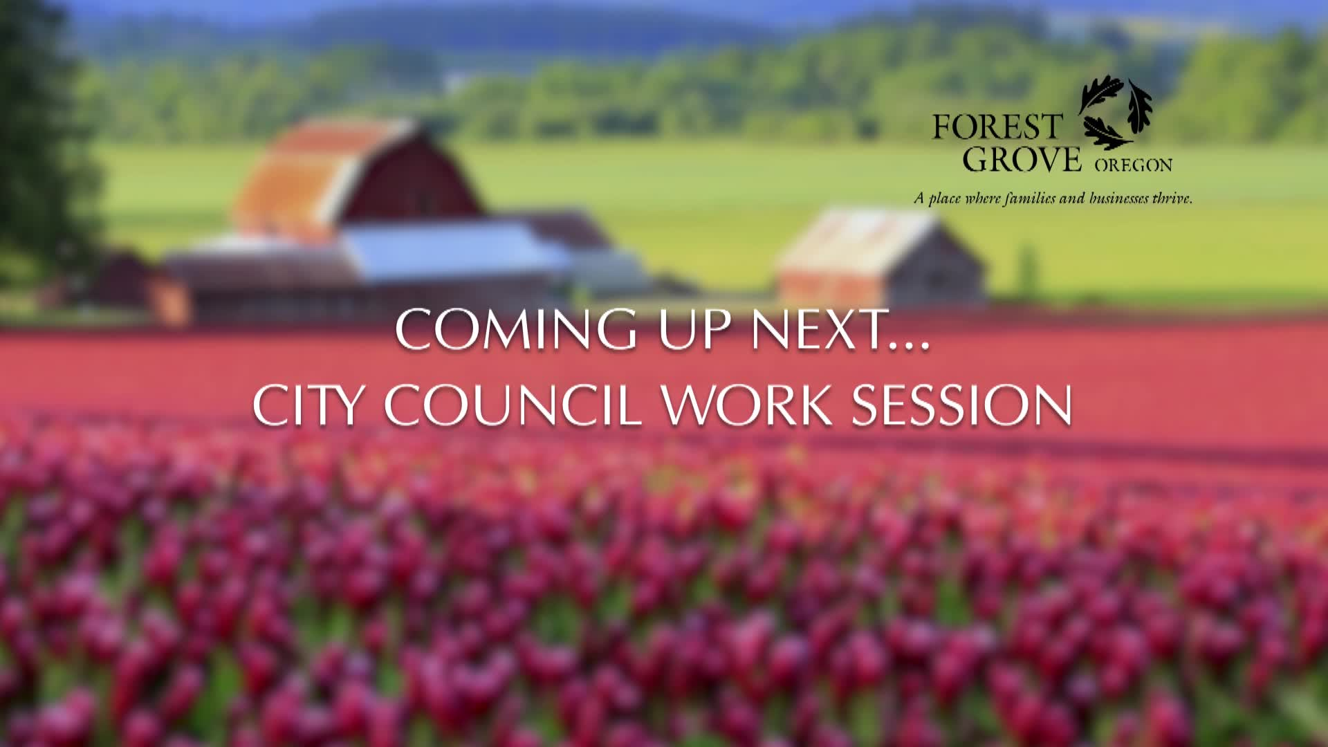 Thumbnail image for June 14, 2021 Forest Grove City Council