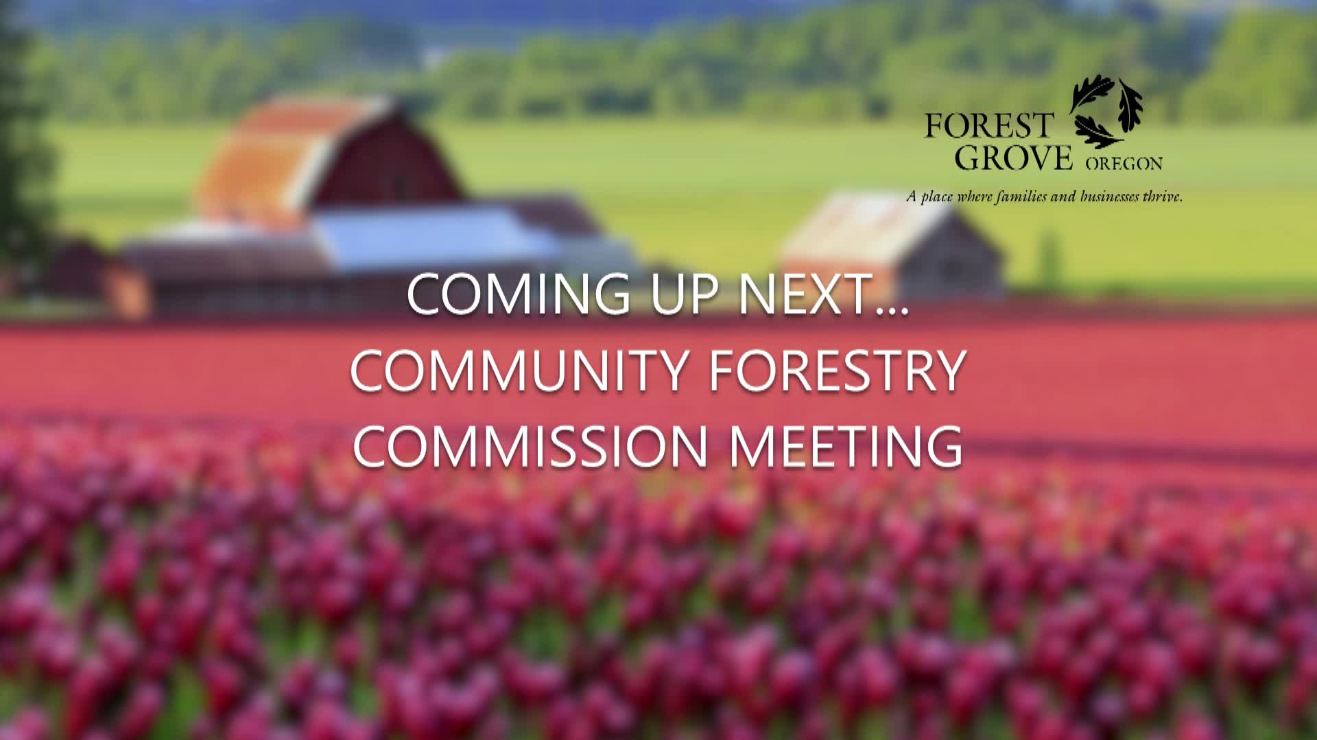 Thumbnail image for June 16, 2021 Forest Grove Forestry Commission