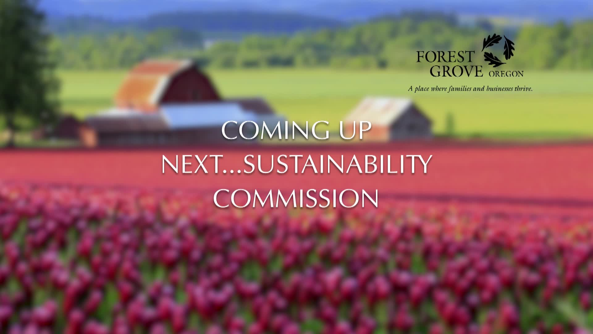 Thumbnail image for July 22, 2021 Forest Grove Sustainability Commission