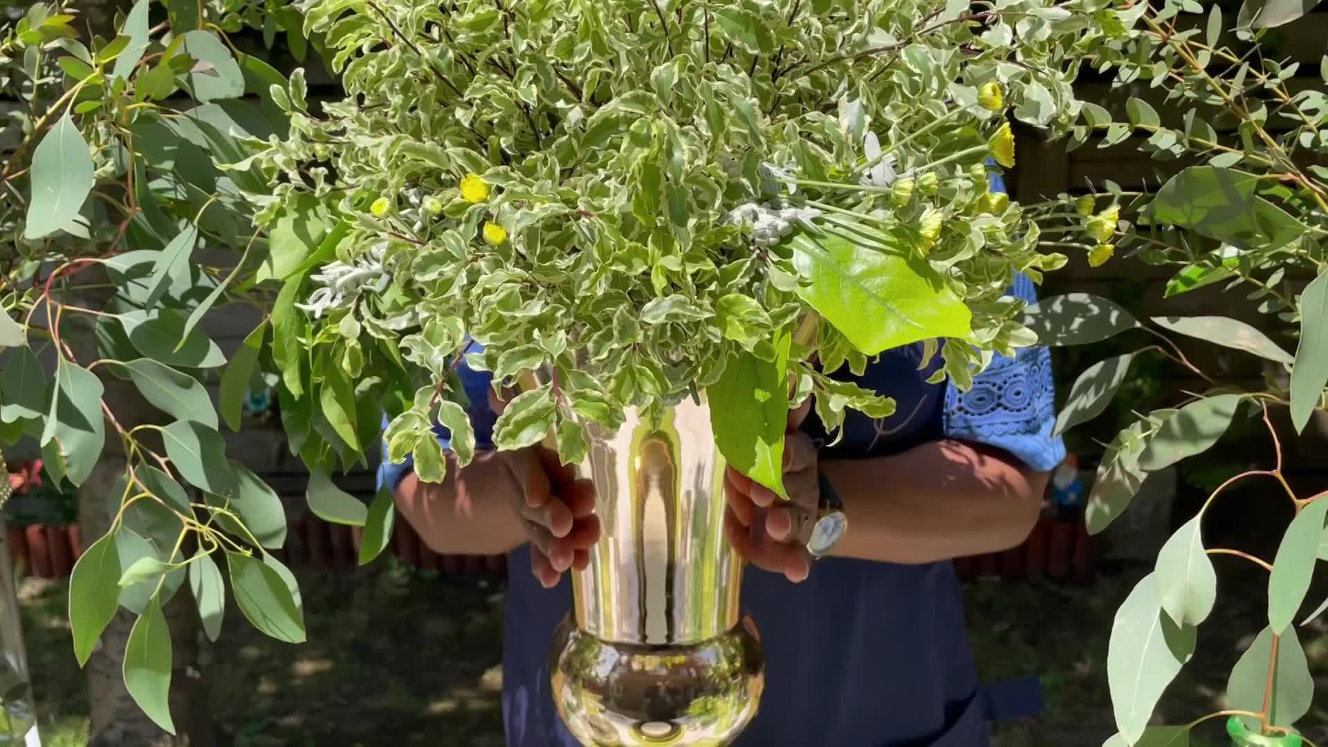 Thumbnail image for Kirly Sue's Plant-Based Show 109