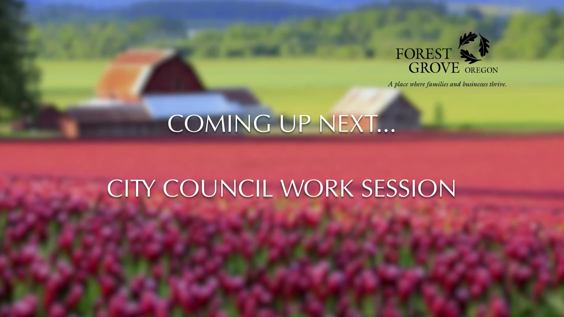 Thumbnail image for September 13, 2021 Forest Grove City Council