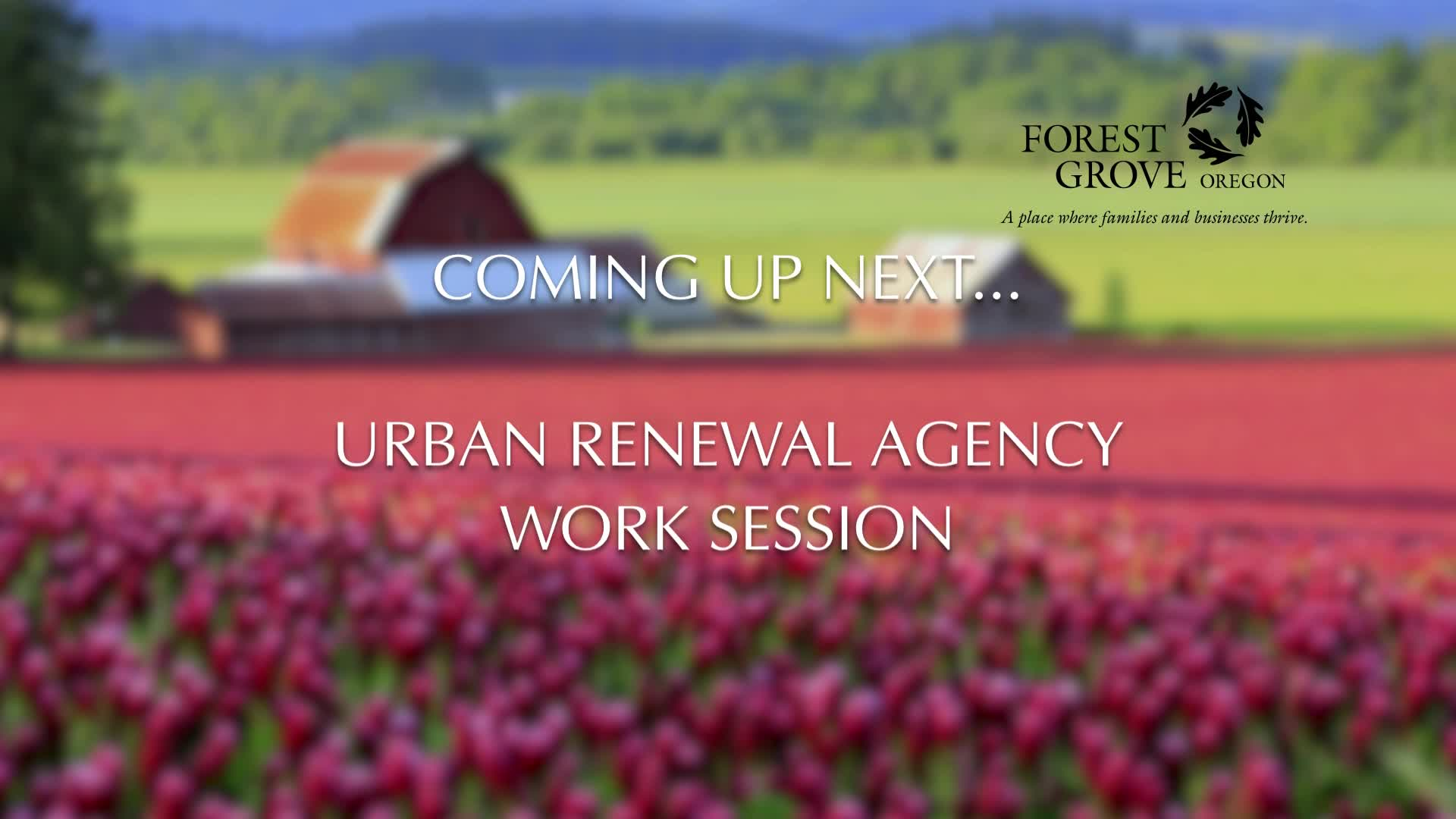 Thumbnail image for  FOREST GROVE URBAN RENEWAL AGENCY MEETING