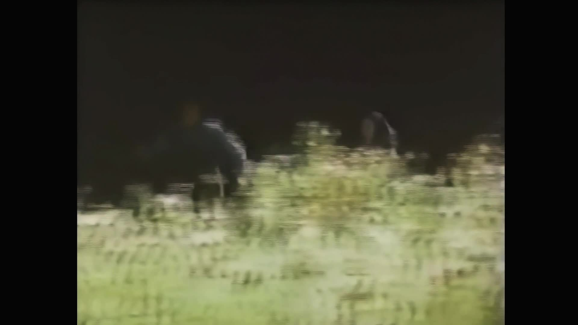Thumbnail image for Creature Features - The People