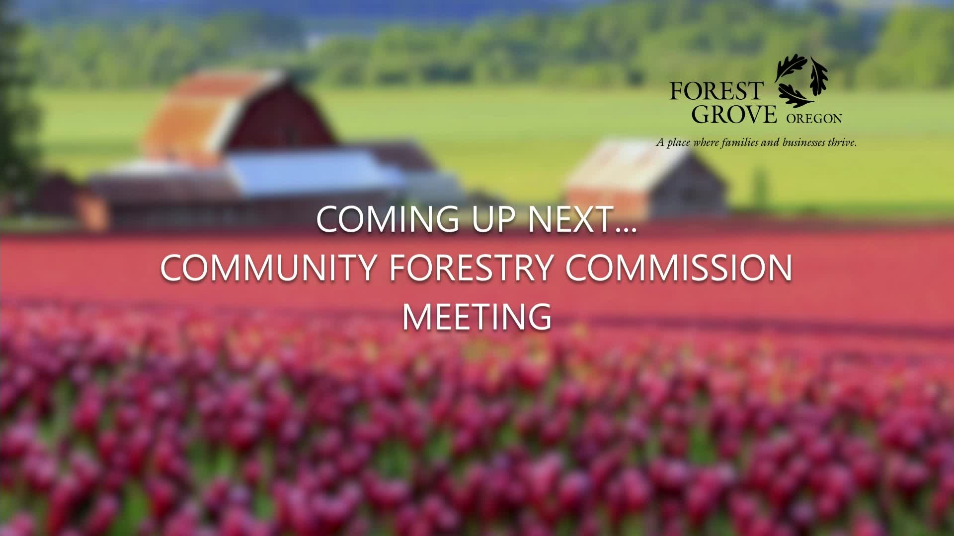 Thumbnail image for November 10, 2021 Forest Grove Forestry Commission