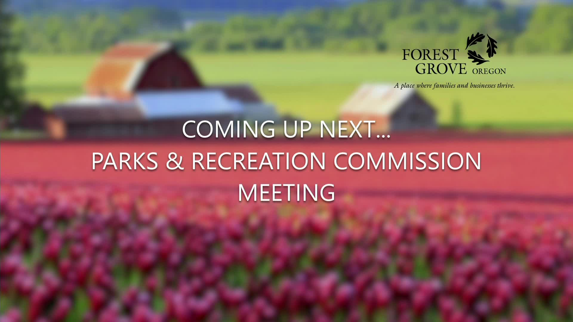 Thumbnail image for November 17, 2021 Forest Grove Parks & Recreation Commission