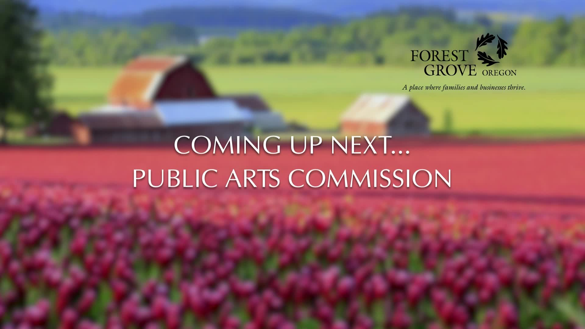 Thumbnail image for November 18, 2021 Forest Grove Arts Commission Meeting