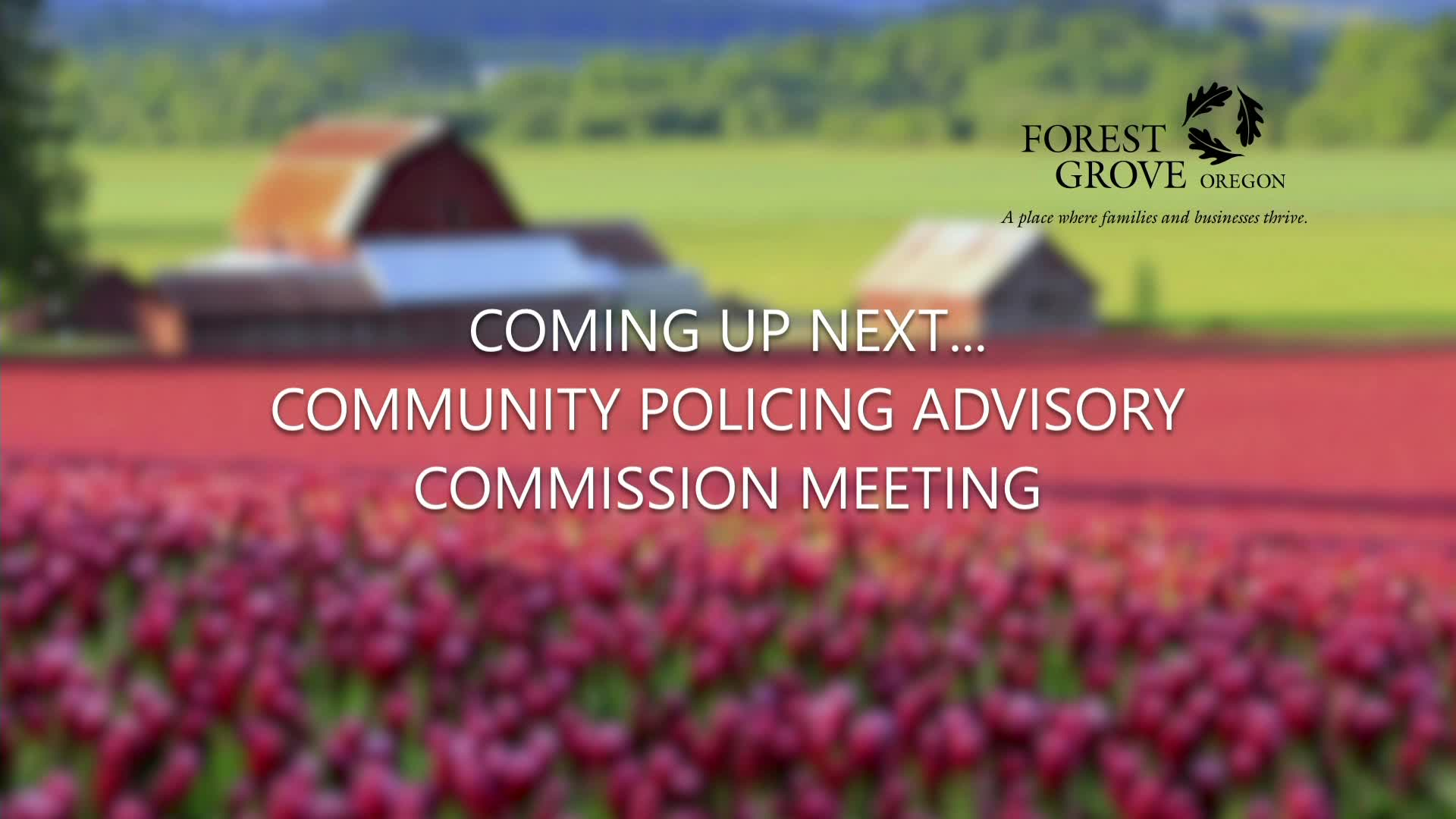 Thumbnail image for November 18, 2021 Forest Grove Community Police Advisory Commission
