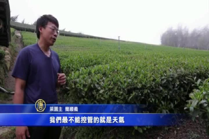 Thumbnail image for NTD Chinese 348