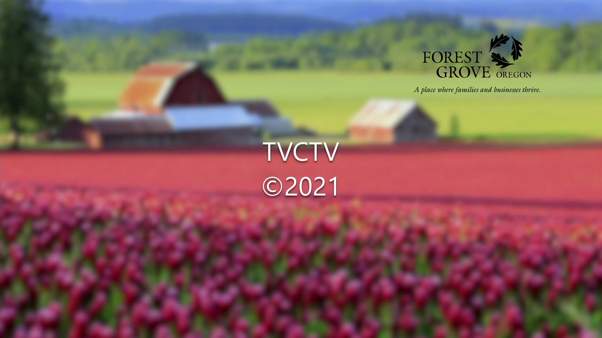 Thumbnail image for November 22, 2021 Forest Grove City Council Worksession