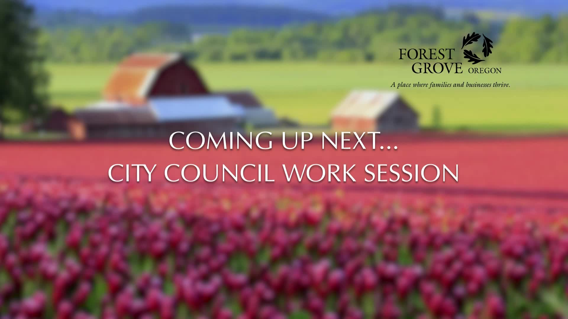 Thumbnail image for December 13, 2021 Forest Grove City Council