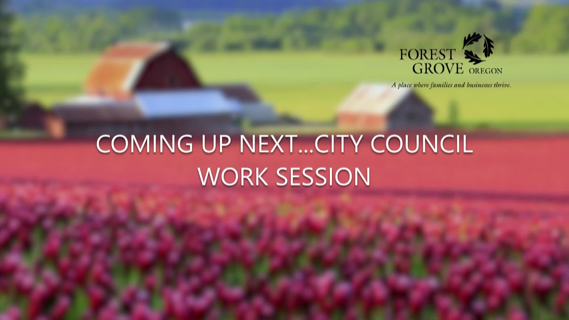 Thumbnail image for January 10, 2022 Forest Grove City Council