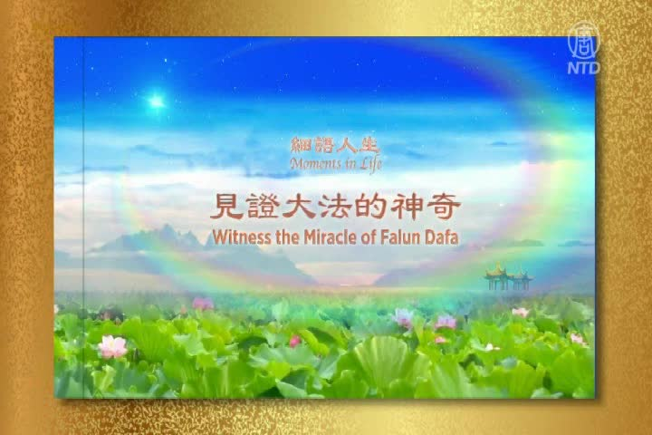 Thumbnail image for NTD English 355