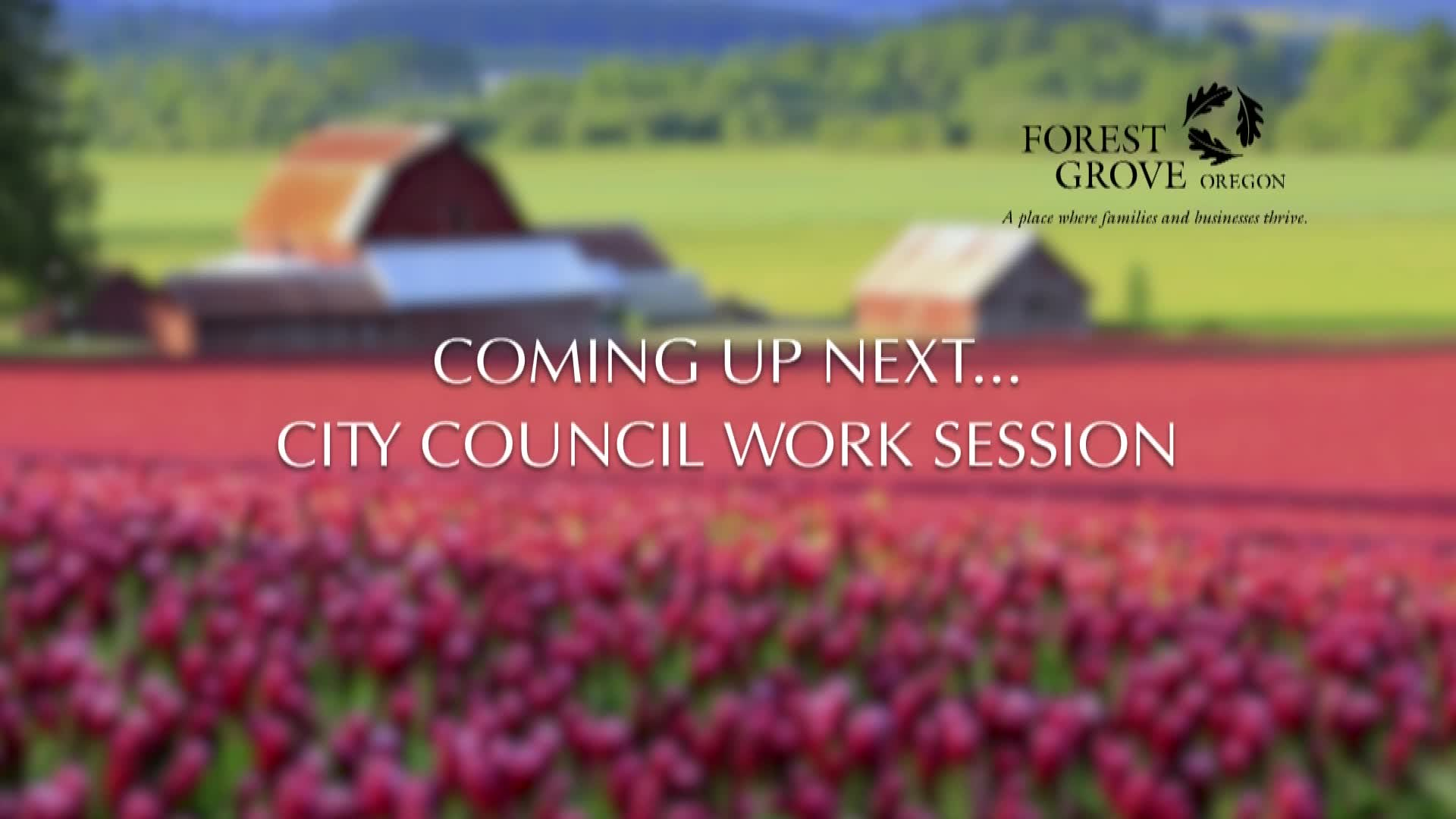 Thumbnail image for January 24, 2022 Forest Grove City Council