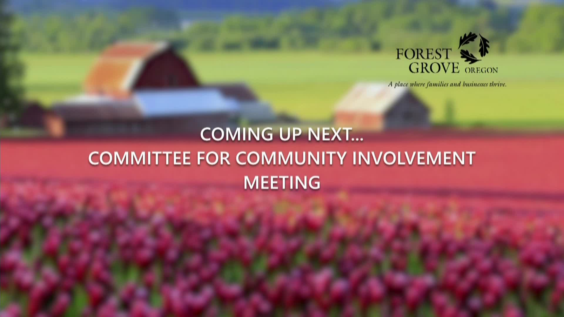 Thumbnail image for February 1, 2022 Forest Grove Committee for Citizen Involvement