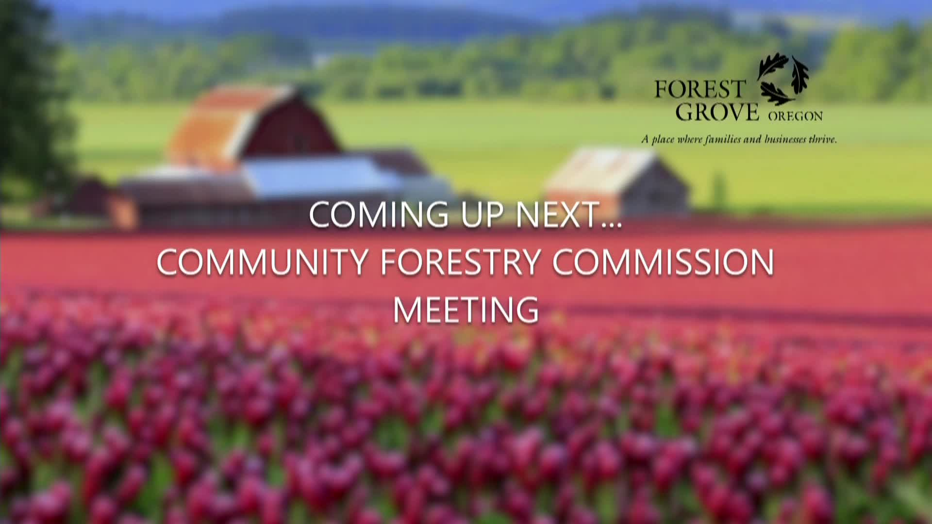 Thumbnail image for February 9, 2022 Forest Grove Forestry Commission