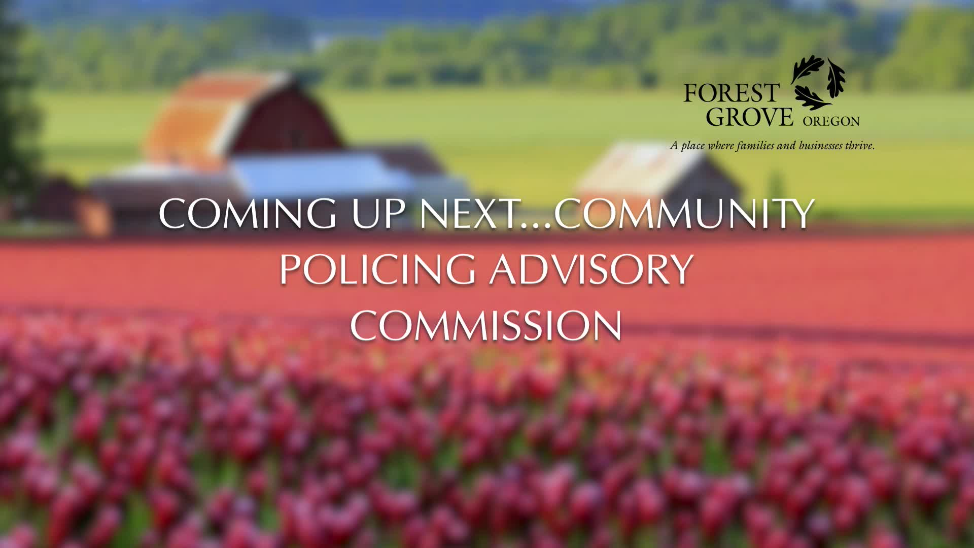 Thumbnail image for March 17, 2022 Forest Grove Community Police Advisory Commission