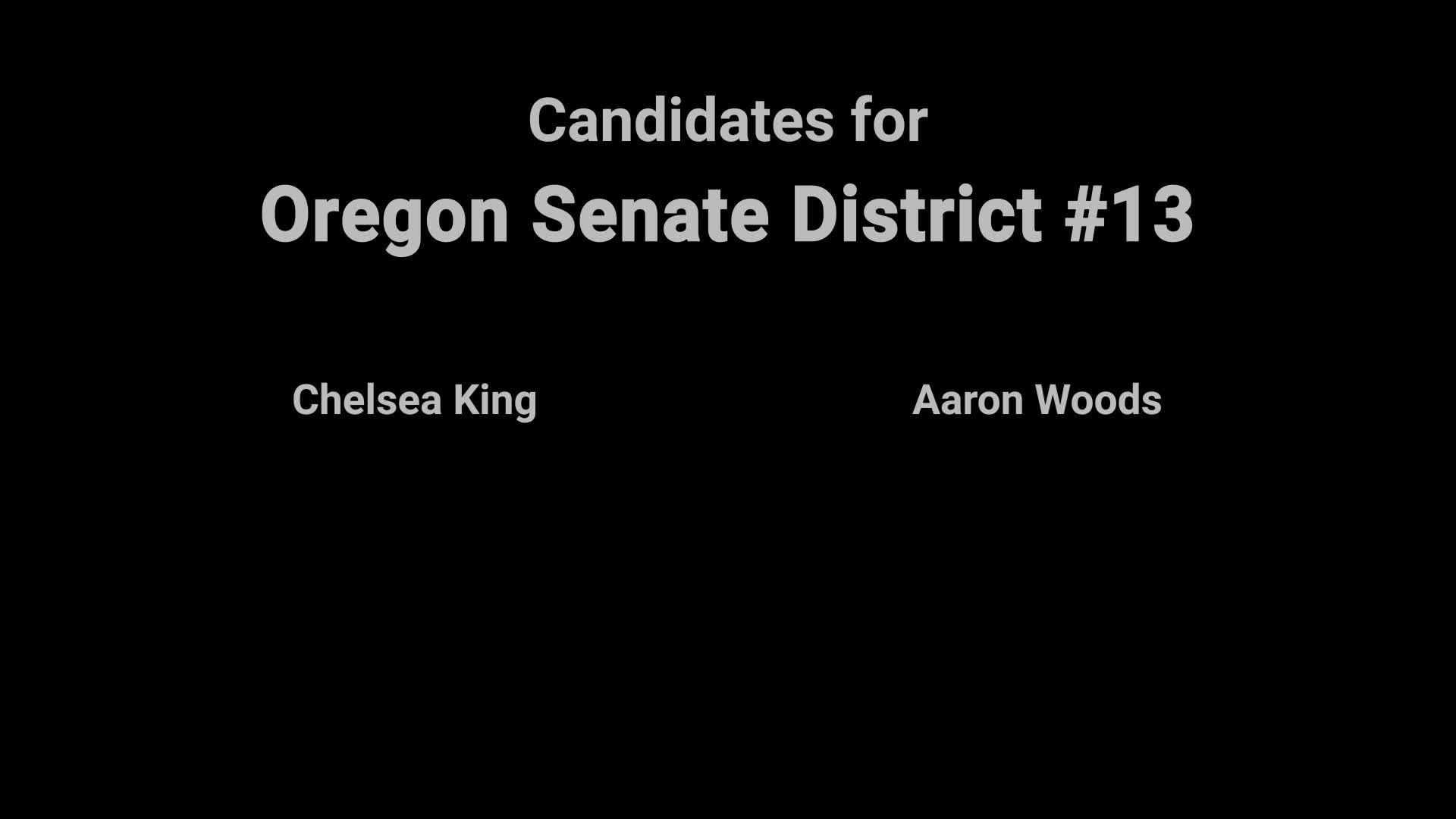 Thumbnail image for Video Voters' Guide: US Senate District #13