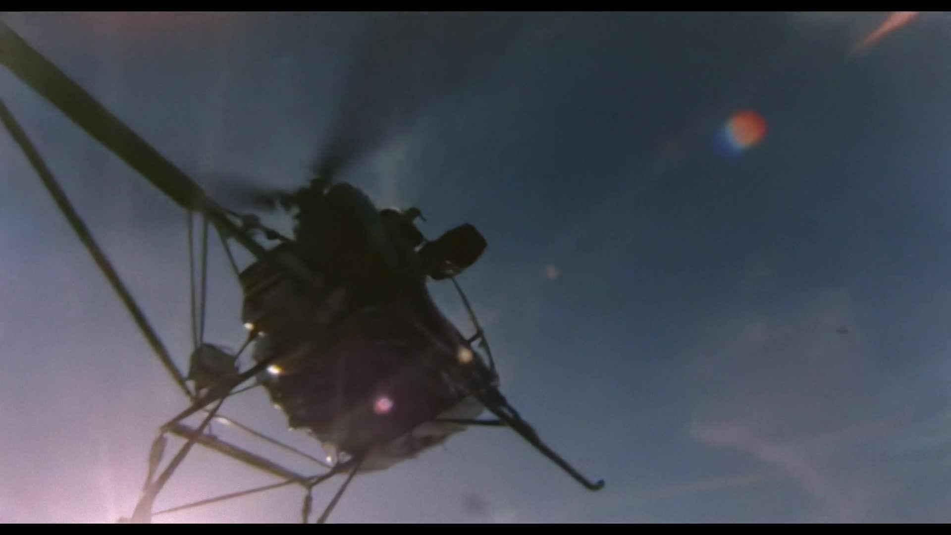 Thumbnail image for Creature Features - The Alpha Incident