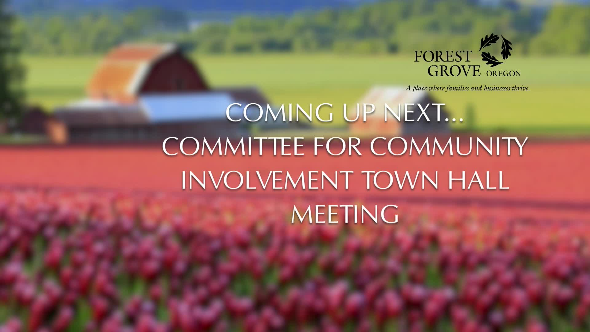Thumbnail image for May 4, 2022 Forest Grove Town Hall