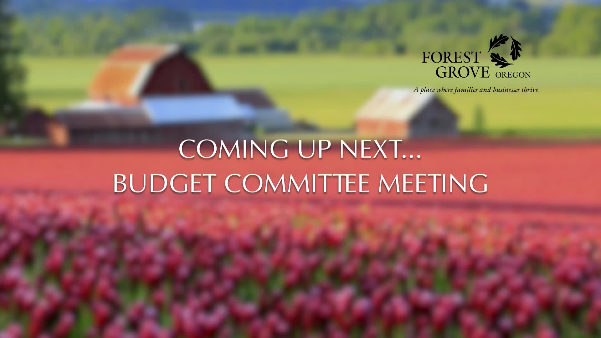 Thumbnail image for Live Forest Grove Budget Meeting