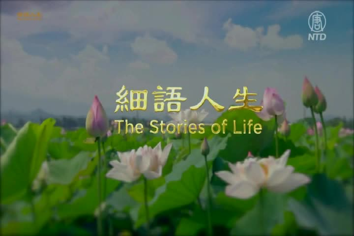 Thumbnail image for NTD - English - NTD English 387