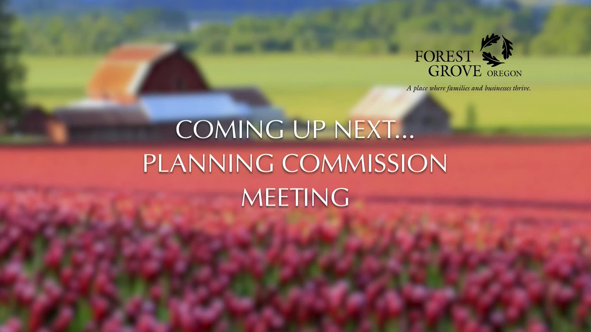 Thumbnail image for September 19, 2022 Forest Grove Planning Commission