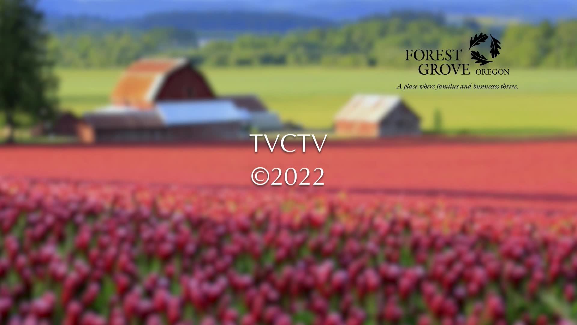 Thumbnail image for October 10, 2022 Forest Grove City Council Worksession