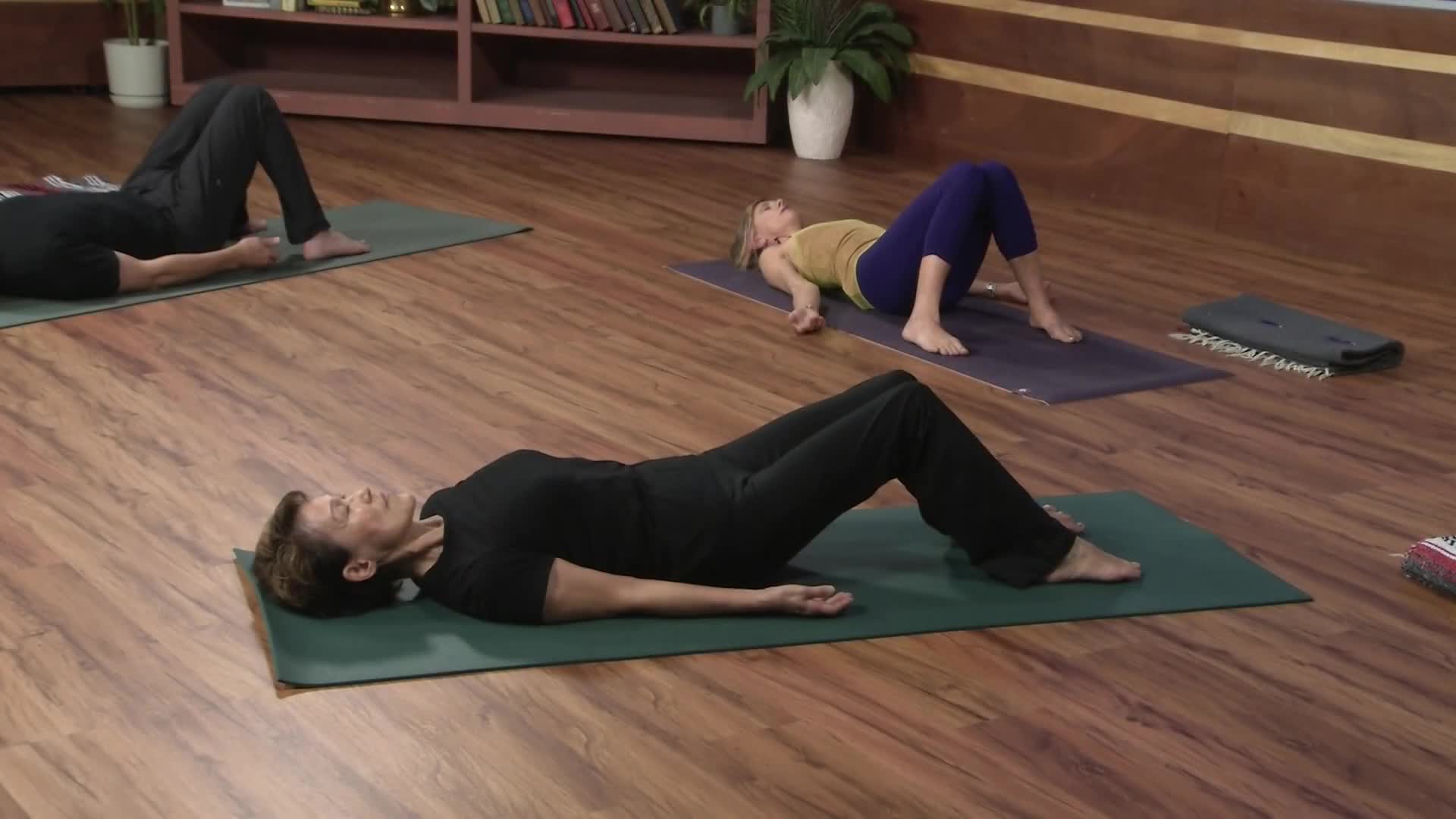 Beginning Yoga With Lisa Behrendt