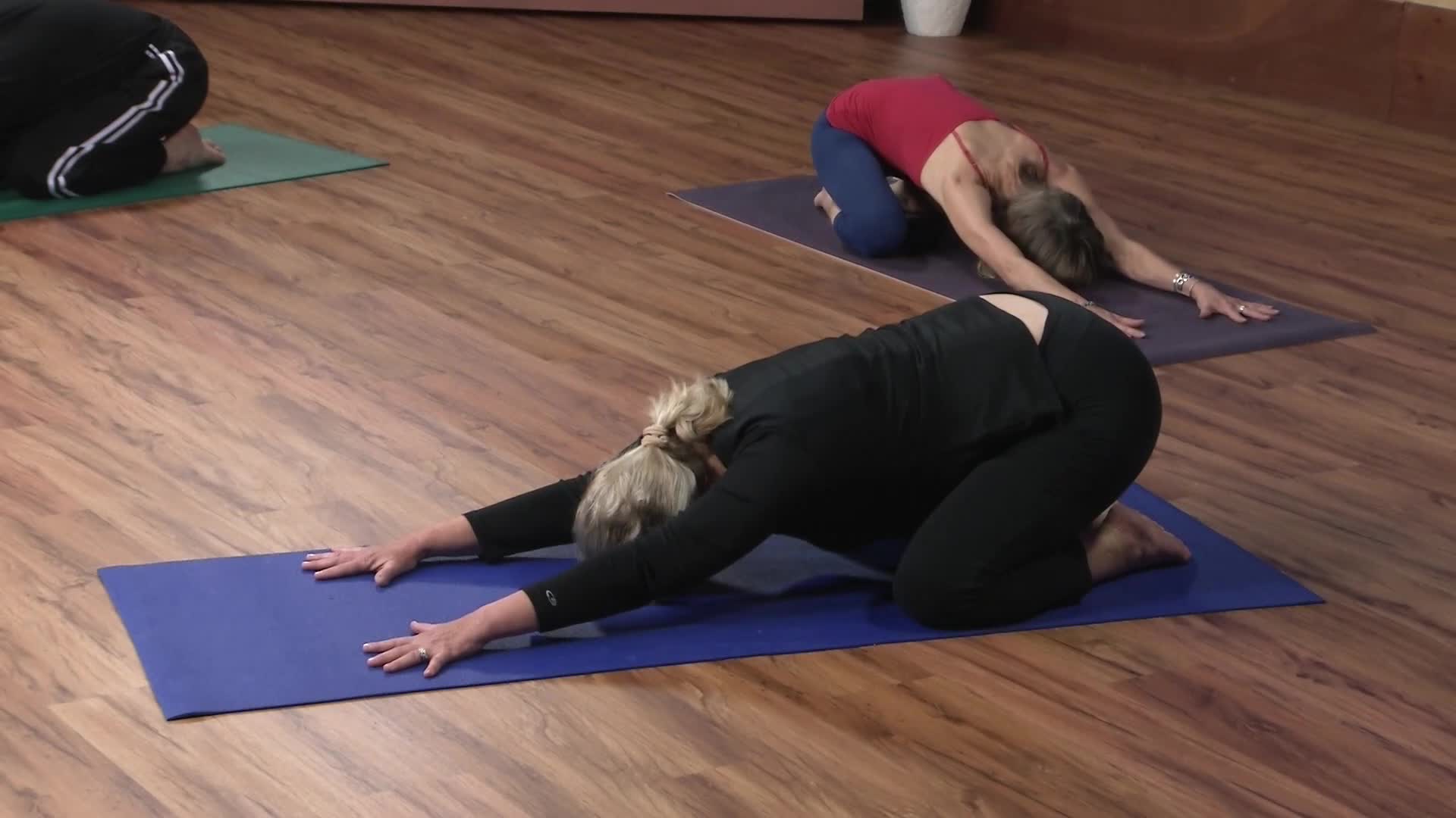 Thumbnail image for Beginning Yoga With Lisa Behrendt