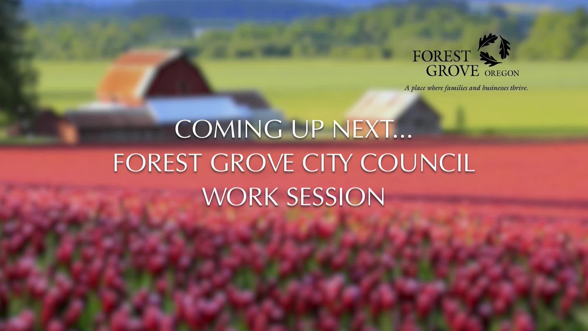 Thumbnail image for June 26, 2023 Forest Grove City Council Meeting