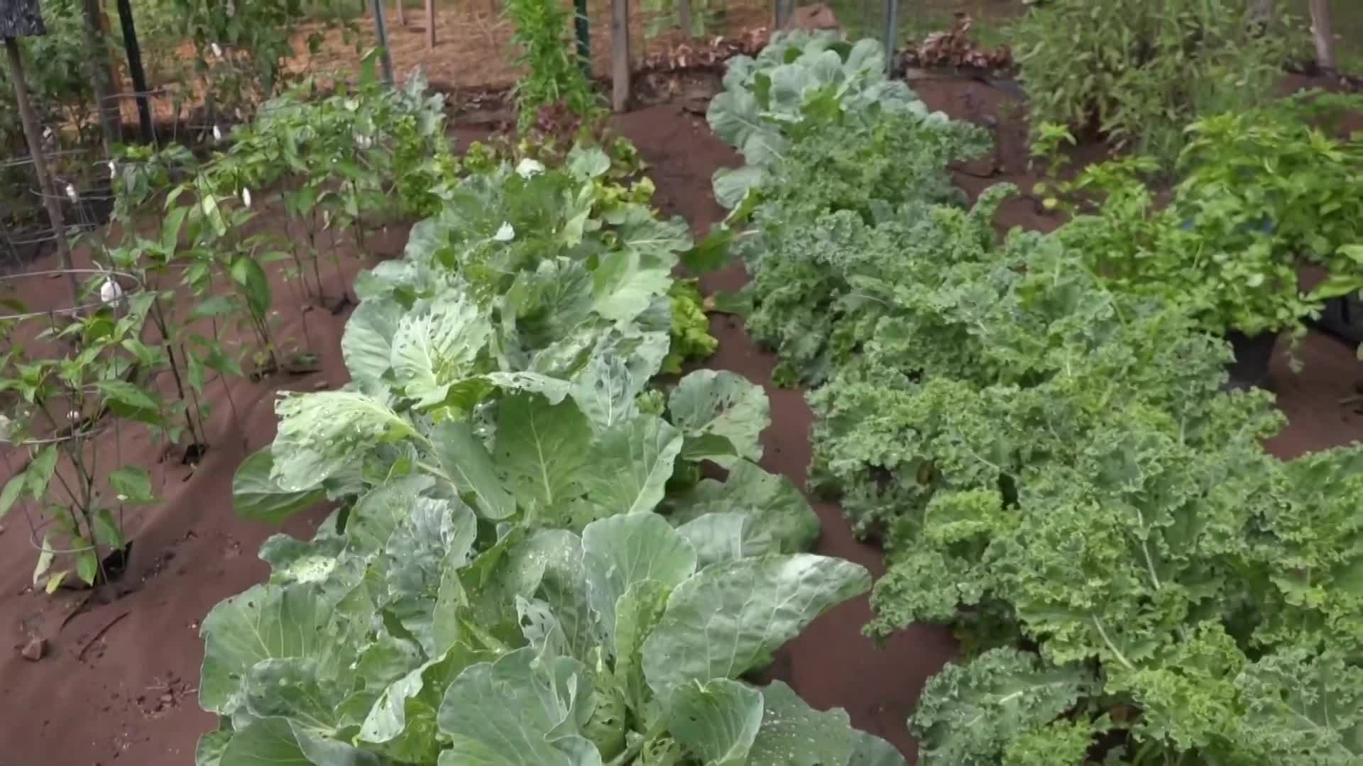 Thumbnail image for Get Healthy With Holly 113