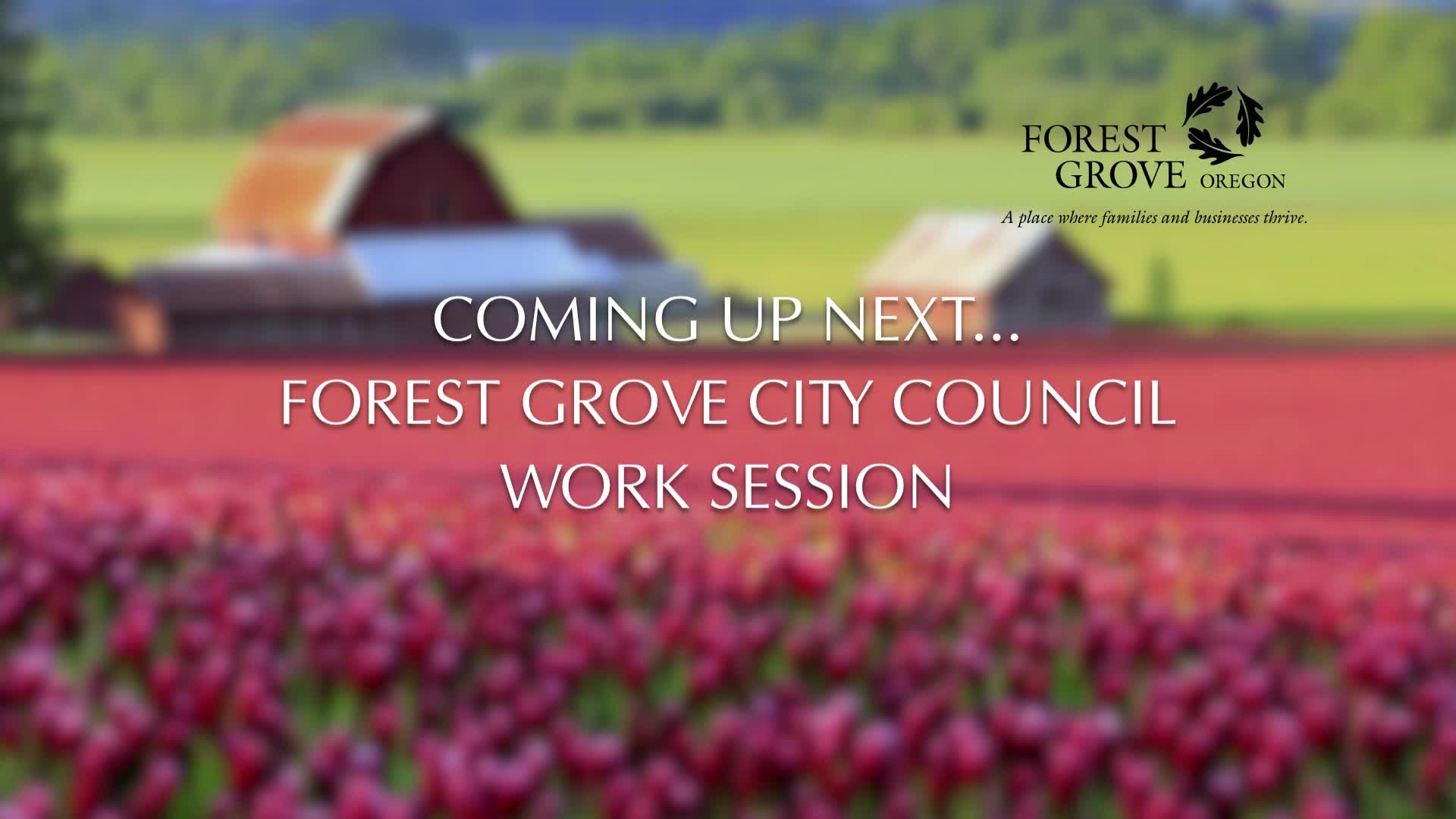 Thumbnail image for Forest Grove City Council Meeting - 4-22-24