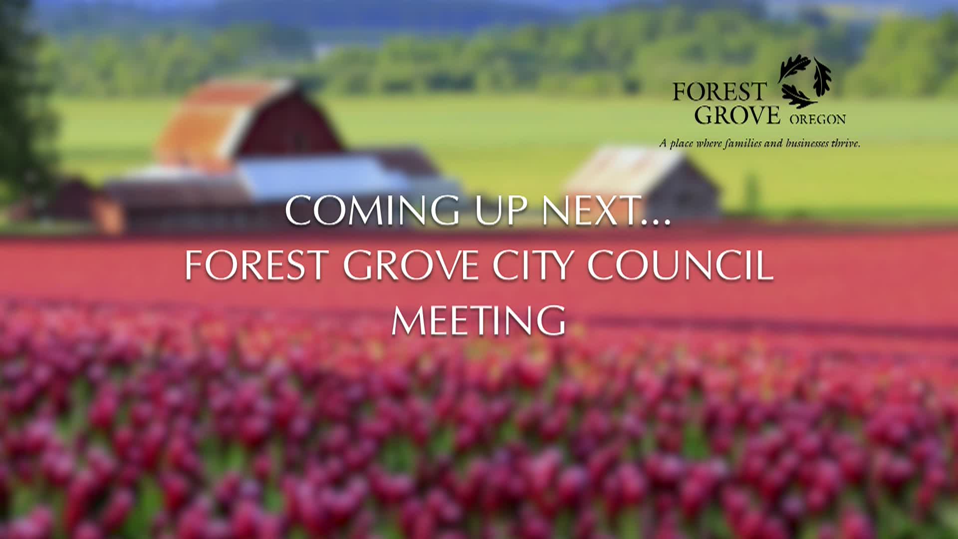 Thumbnail image for July 8, 2024 - Forest Grove City Council Meeting