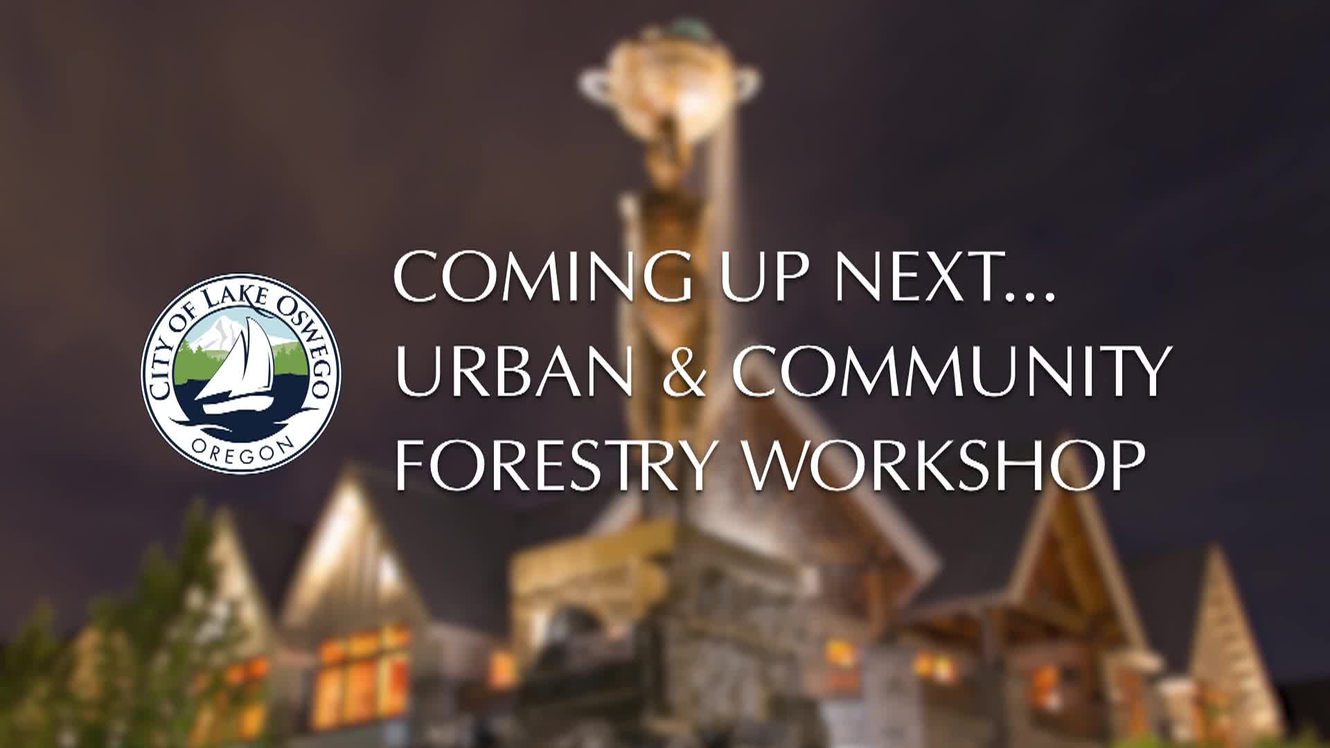 Thumbnail image for August 15, 2024 Lake Oswego Tree Code Workshop: Tree Removal Permits