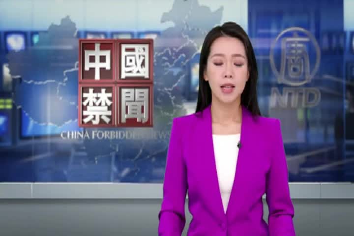 Thumbnail image for NTD Chinese 492