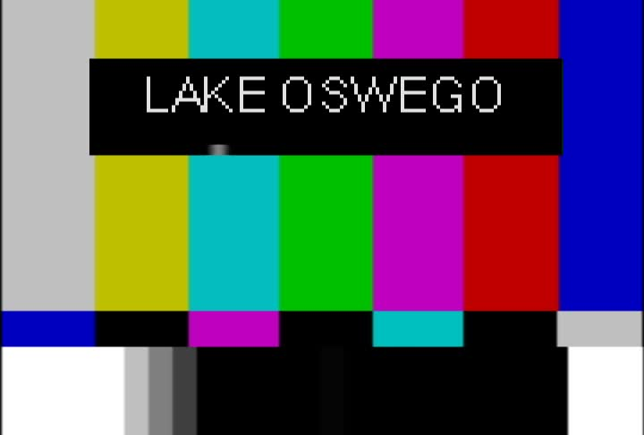 Thumbnail image for January 11, 2021 LAKE OSWEGO PLANNING COMMISSION