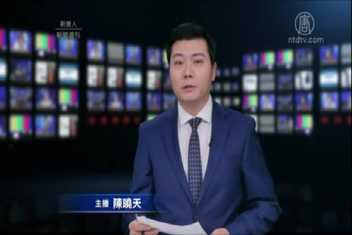 Thumbnail image for NTD - Chinese - NTD Chinese 311