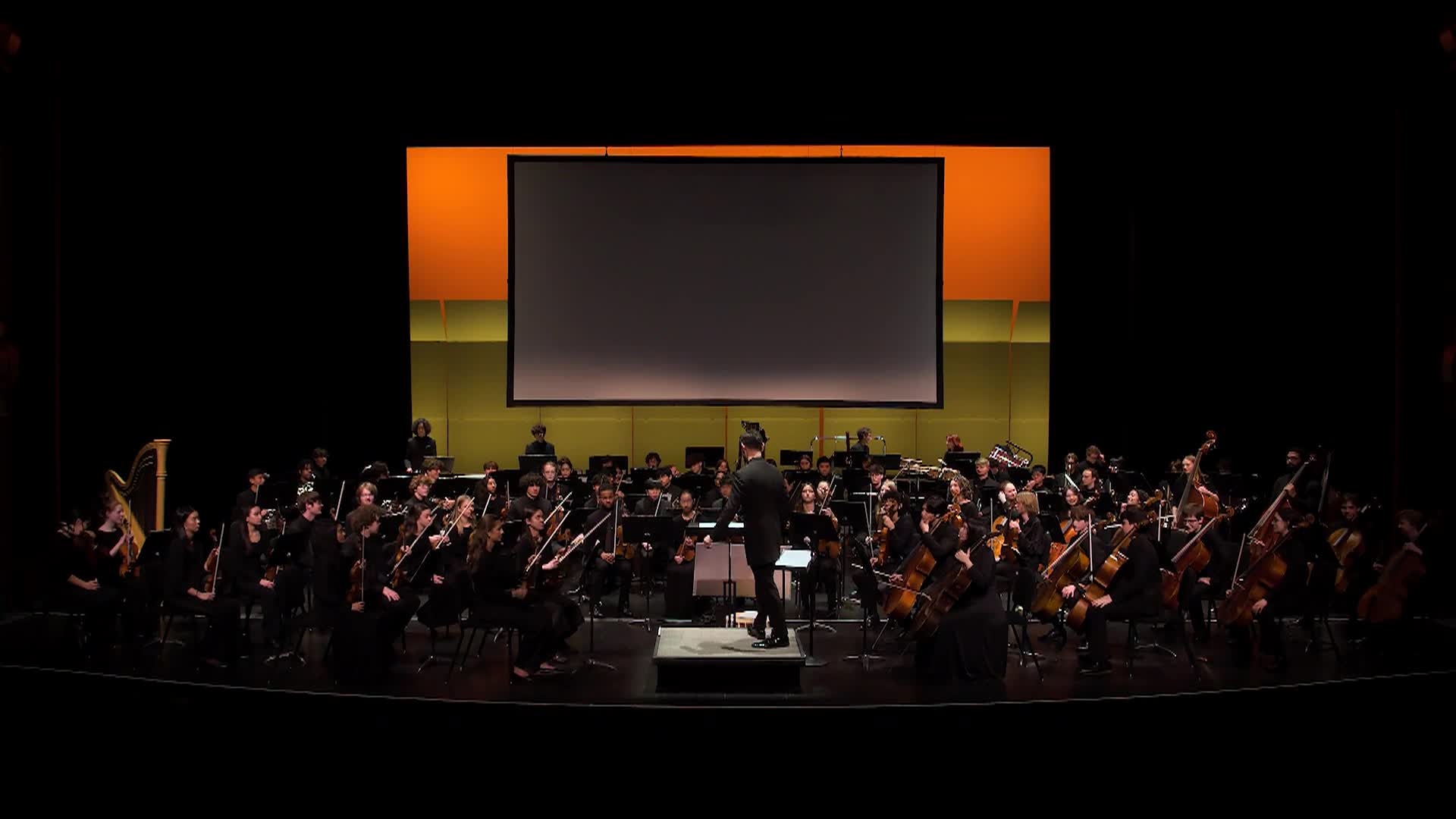 Metropolitan Youth Symphony Orchestra Performance_Downtown Series