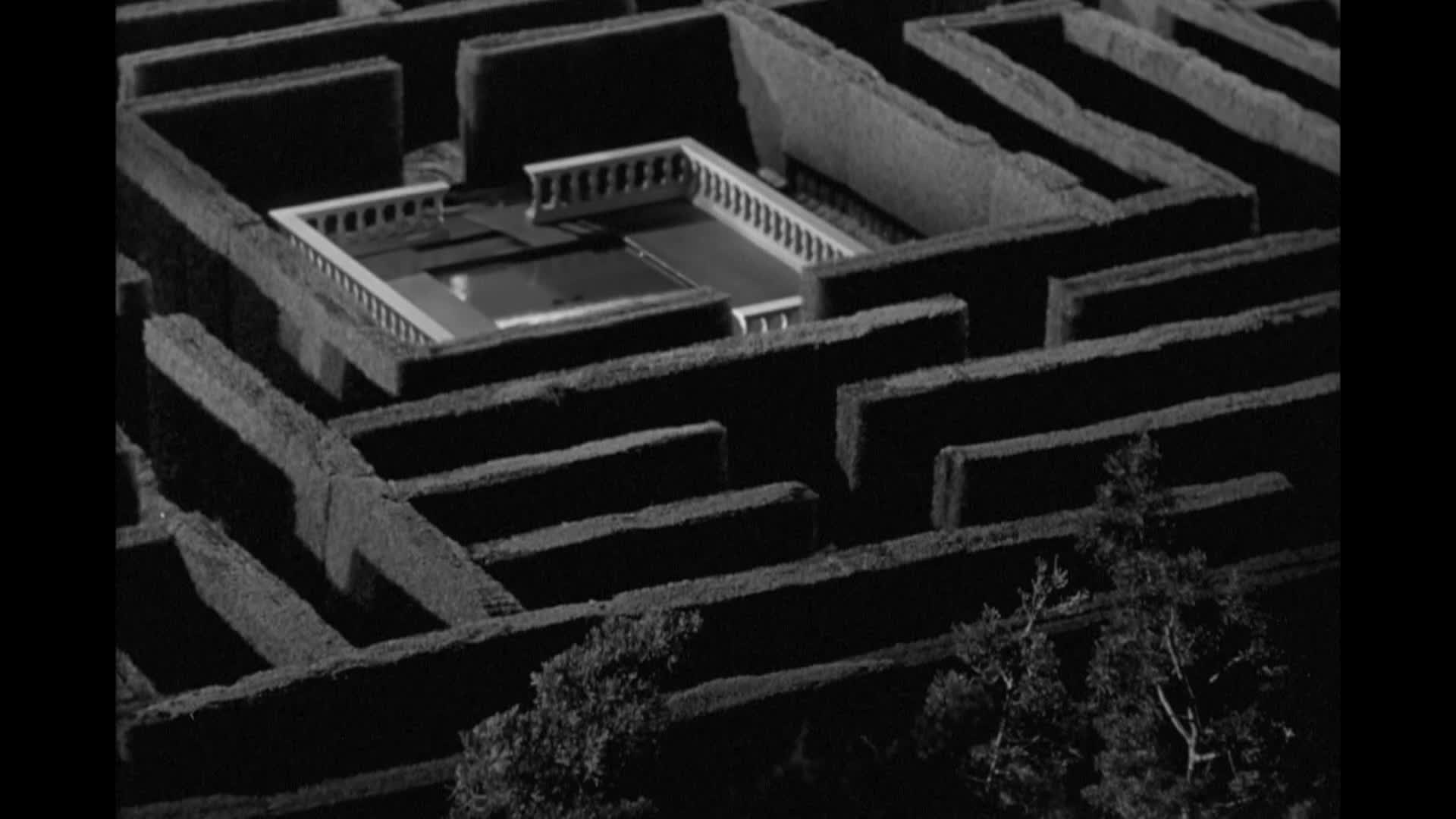 Thumbnail image for Livingston Presents... - "The Maze"