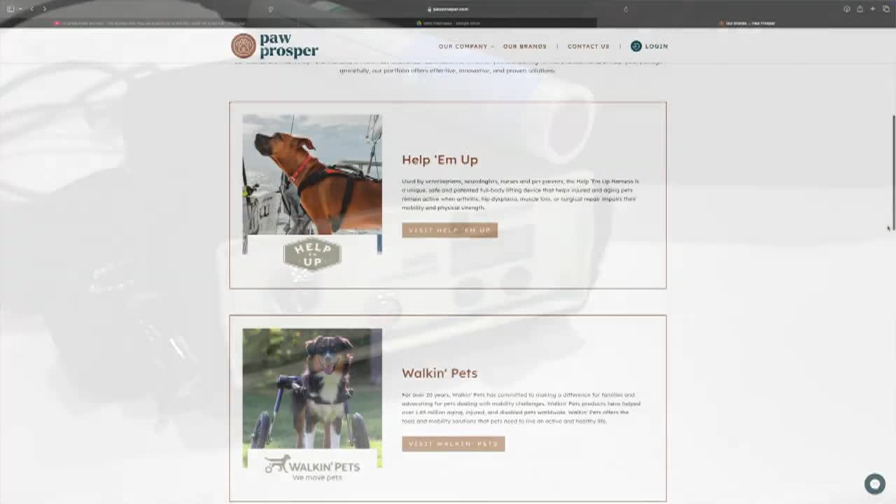 Thumbnail image for Canine Longevity - Motion Is Medicine