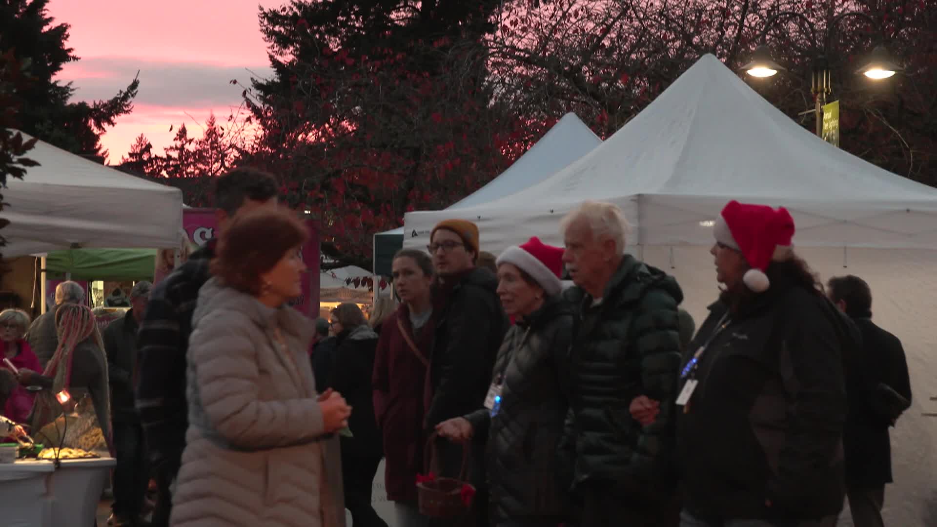 Lake Oswego Holiday Tree Lighting Celebration