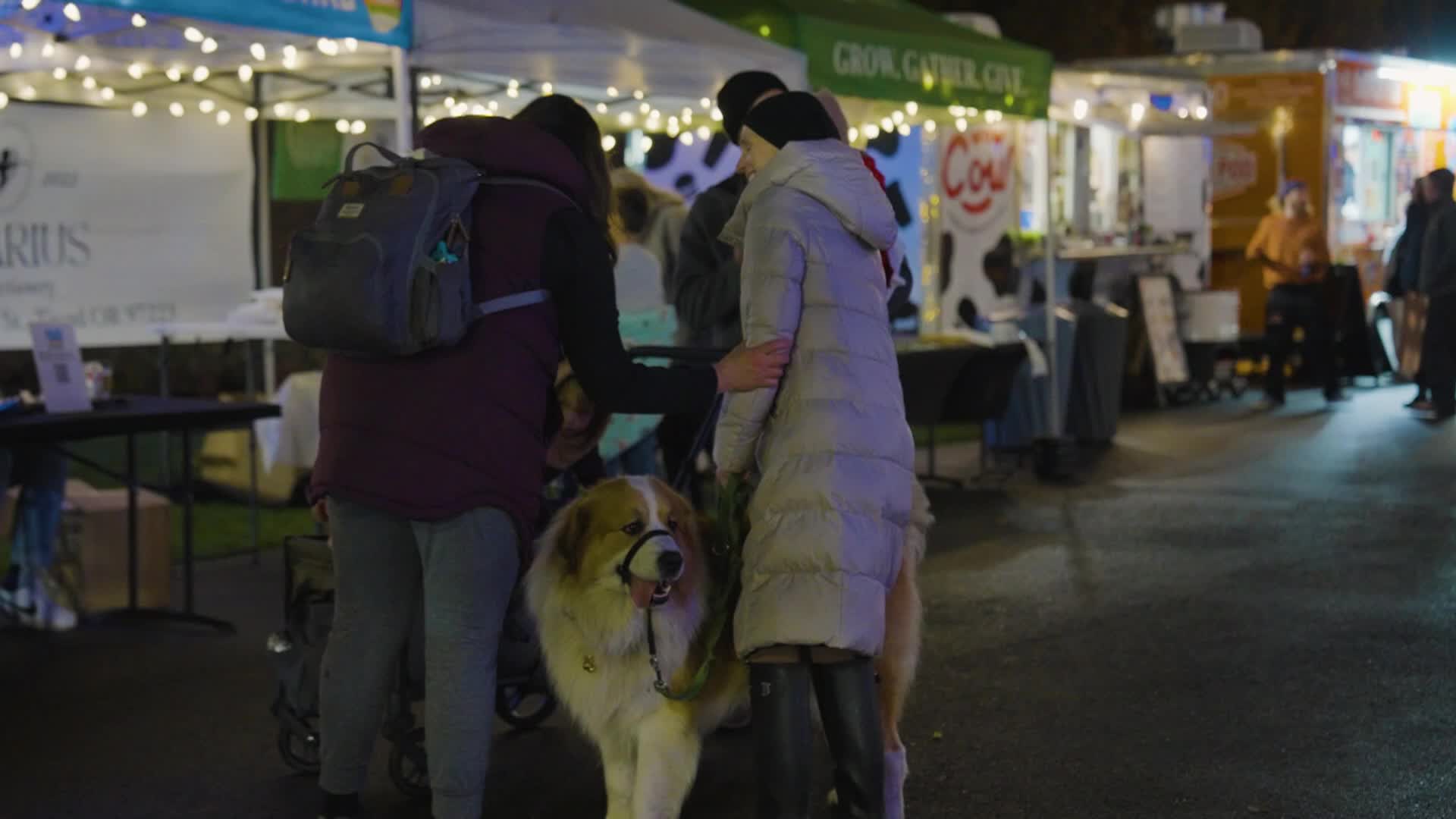 Tigard Holiday Tree Lighting