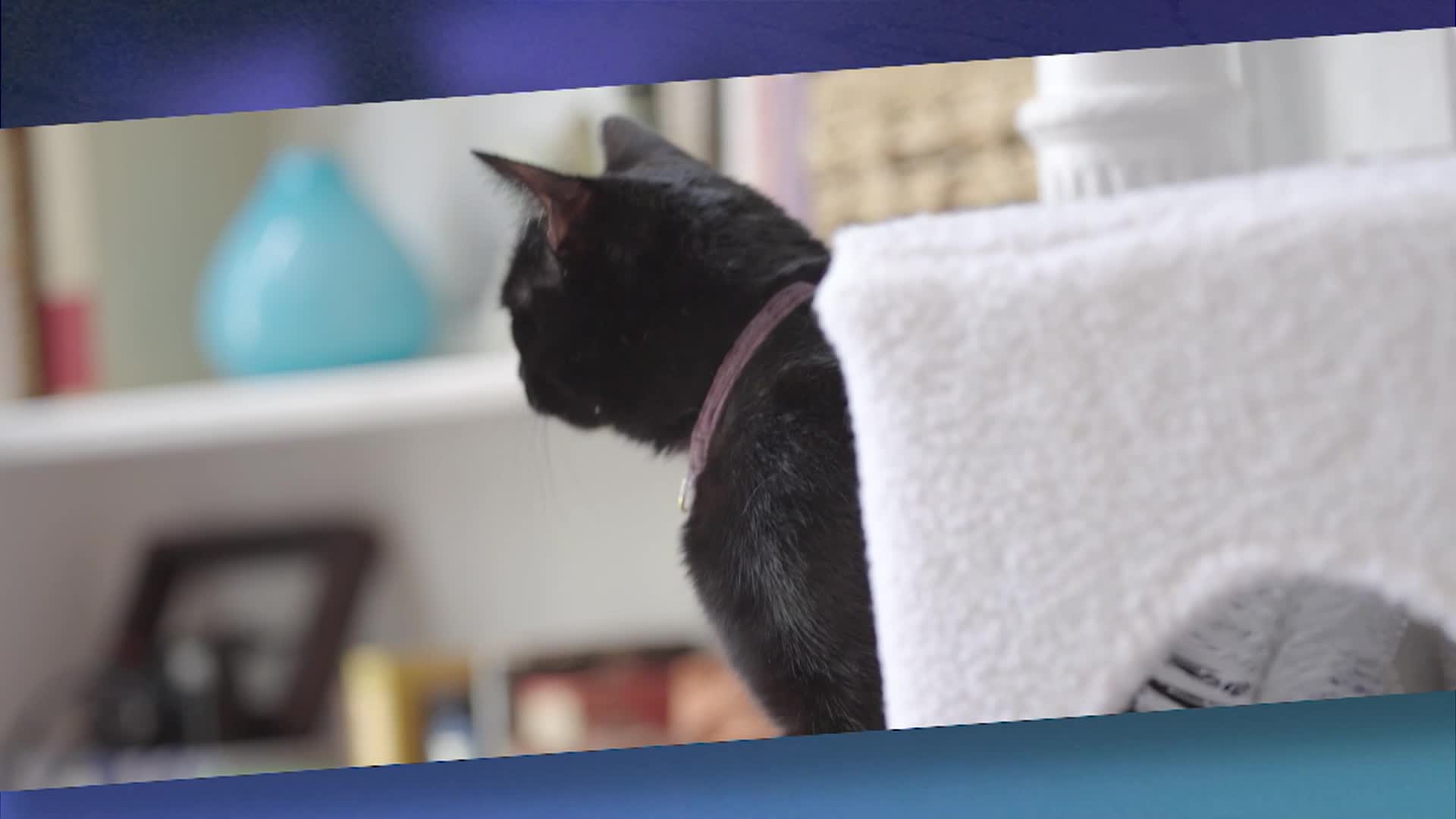 Sidewalks Entertainment