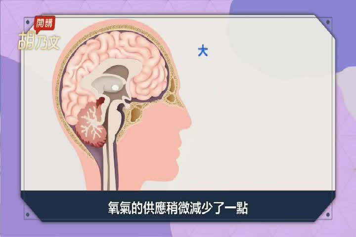 Thumbnail image for NTD Chinese 312